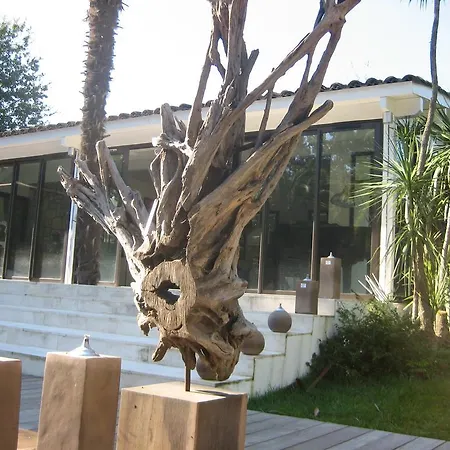 Villa Les Marmottes Saint-Tropez